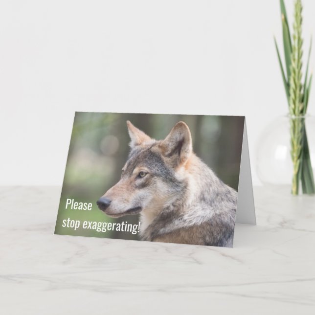 Stop Exaggerating, Like The Boy Who Cried WOLF Card (Front)