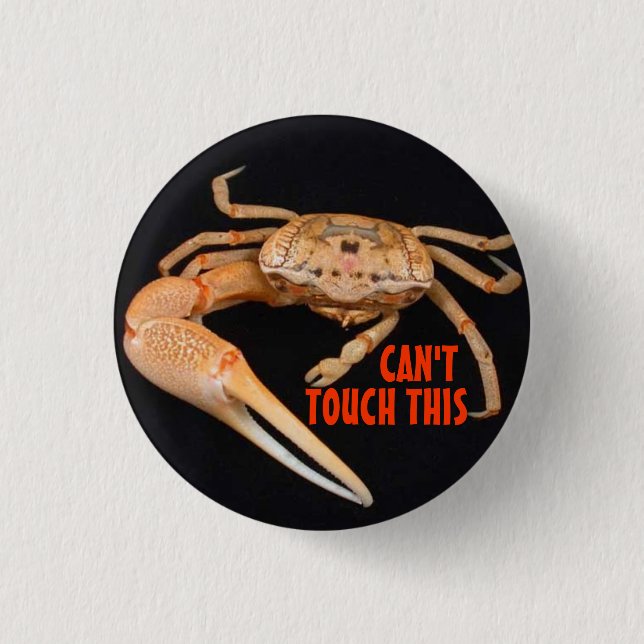 Stop- Fiddler Time 1 Inch Round Button (Front)