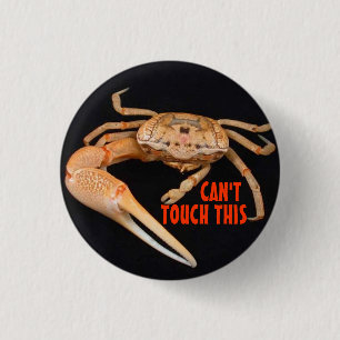 Stop- Fiddler Time 1 Inch Round Button