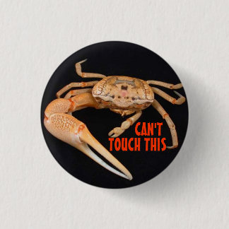 Stop- Fiddler Time 1 Inch Round Button