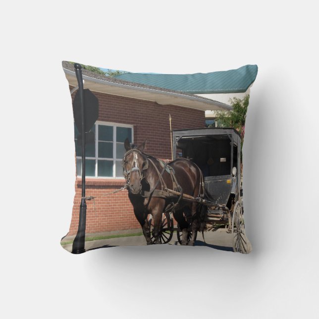 Stop For a Spell, Amish Buggy Horse Throw Pillow (Front)