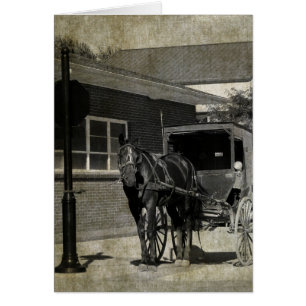 Stop for A Spell, Amish Horse at Stop Sign