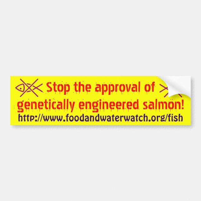 stop franken fish bumper sticker (Front)