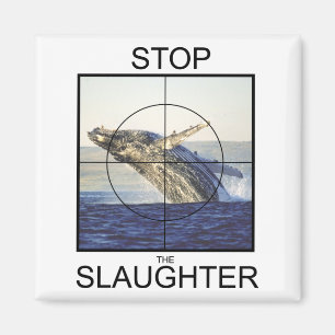 Stop Slaughter-whales Magnet