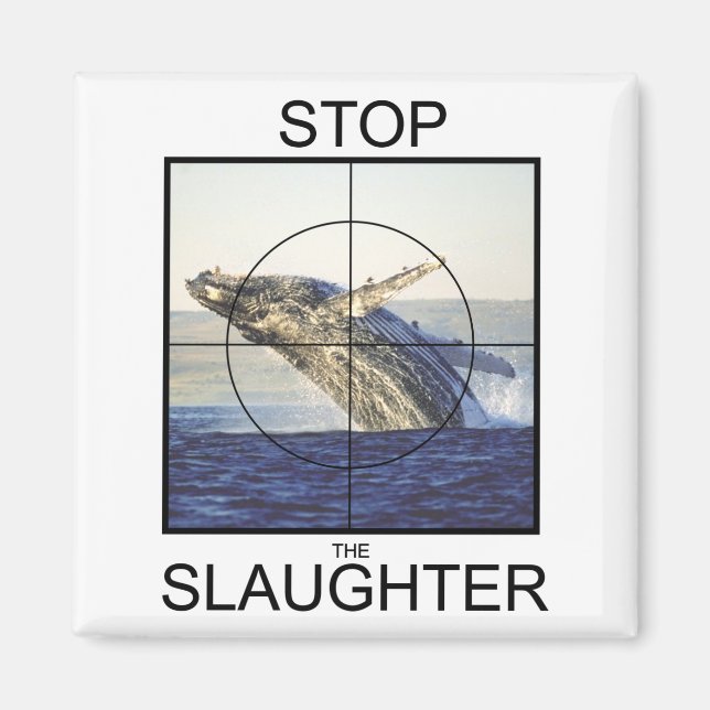 Stop Slaughter-whales Magnet (Front)