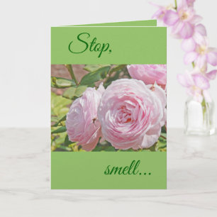 "STOP...SMELL...AND REMEMBER THE ROSE'S SWEET ..." CARD