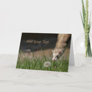 Stop Smell The Dandelions Ferrets Holiday Card
