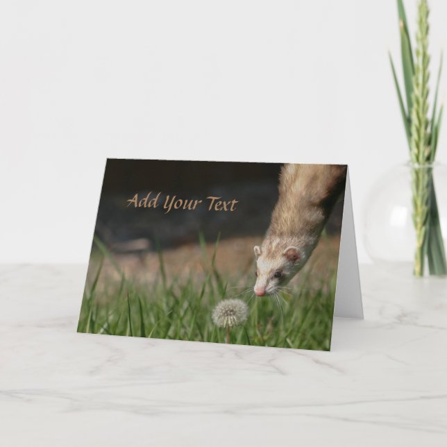 Stop Smell The Dandelions Ferrets Holiday Card (Front)