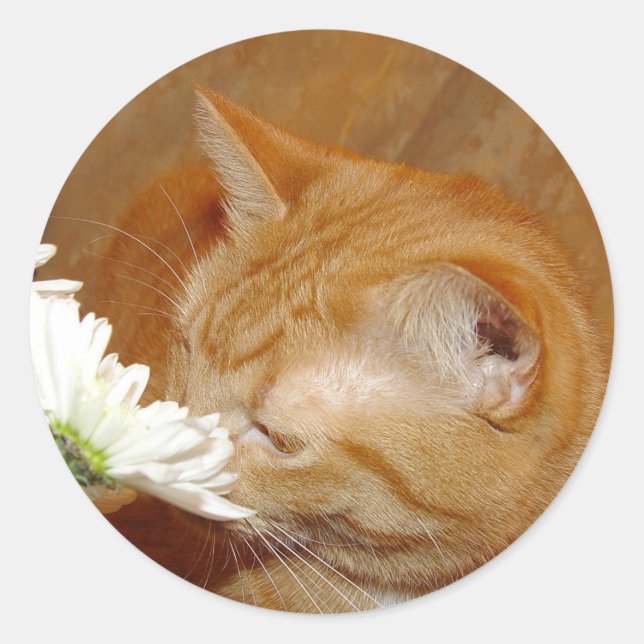 Stop to smell the daisies sticker (Front)