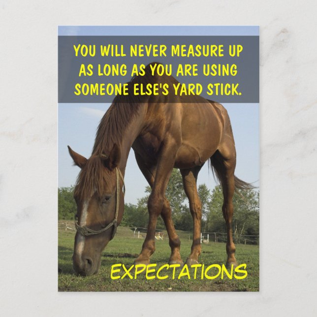 Stop trying to meet other people's expectations postcard (Front)