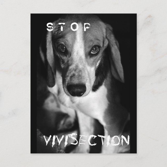 Stop vivisection - Postcard (Front)