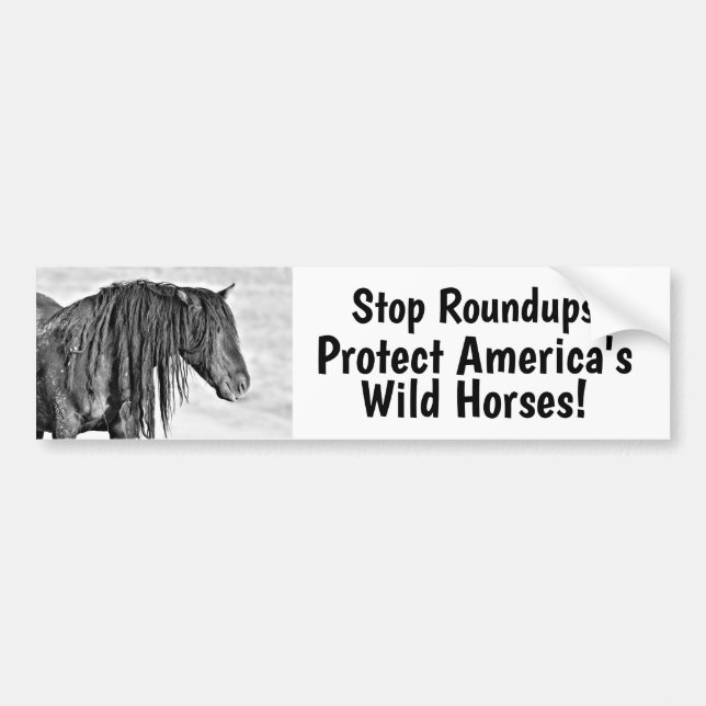 Stop Wild Horse Roundups Bumper Sticker (Front)