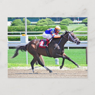Stopchargingmaria victorious in her first race. postcard