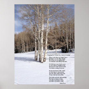 Stopping By Woods On a Snowy Evening Poster