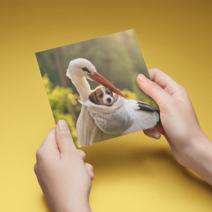 Stork and puppy, customizable holiday card