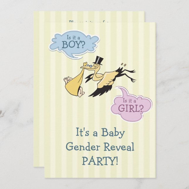 Stork Baby Gender Reveal Party Invitation (Front/Back)