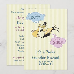 Stork Baby Gender Reveal Party Invitation