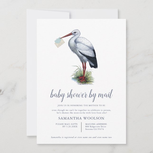 Stork Baby Shower By Mail Invitation (Front)