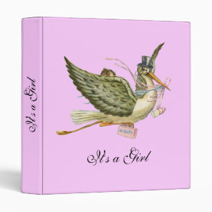 STORK BABY SHOWER ,pink Binder