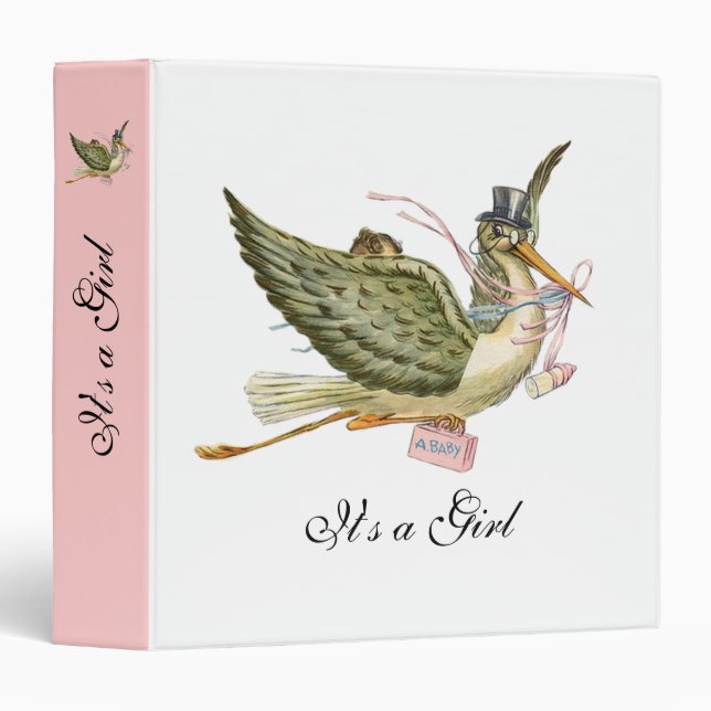 STORK BABY SHOWER ,pink white Binder (Front/Spine)