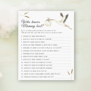 Stork baby shower Who knows mommy best game