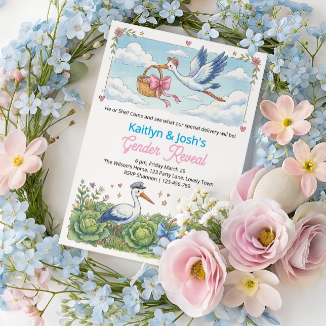 Stork Cabbage Patch Gender Reveal Party Invitation (Stork Storybook themed Gender Reveal Invitation)