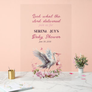 Stork Delivering a Baby Girl Acrylic Sign