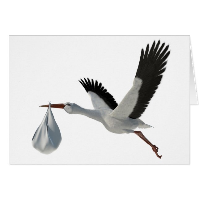 Stork Delivering Bundle (Front Horizontal)