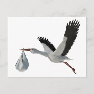Stork Delivering Bundle Postcard