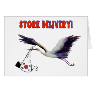 Stork Delivery! Korean Adoption Birth Announcement