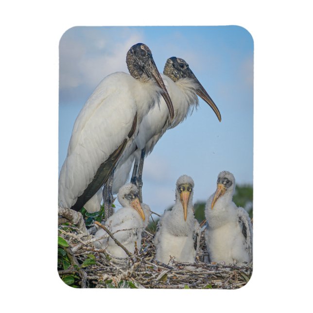 "Stork Family"  Magnet (Vertical)