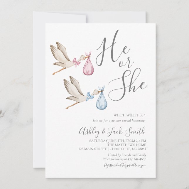 Stork Gender Reveal Invitation (Front)