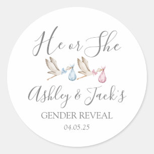 Stork Gender Reveal Stickers, Stork Favour tag, Classic Round Sticker