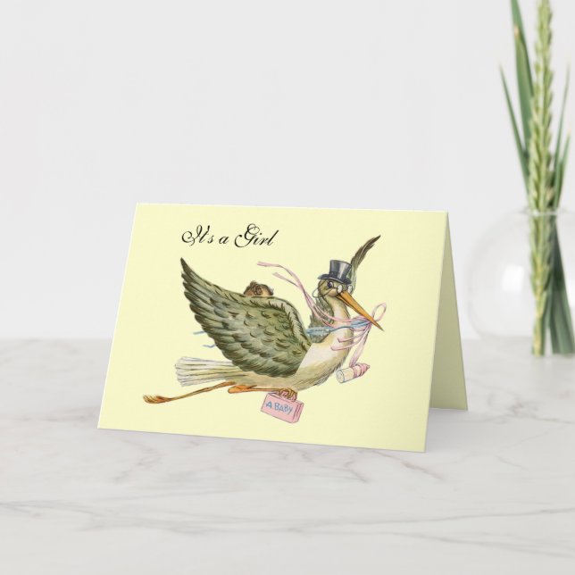 STORK GIRL BABY SHOWER ANNOUNCEMENT (Front)