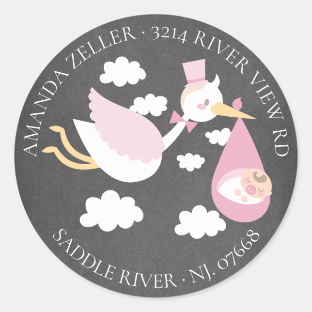 Stork Girls Baby Shower Return Address Label (Front)