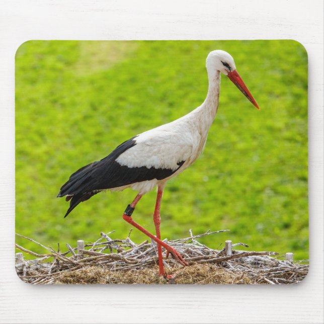 Stork in nest with chicks mouse pad (Front)