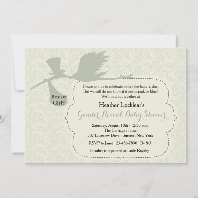 Stork is on the Way Gender Reveal Baby Shower Invitation (Front)