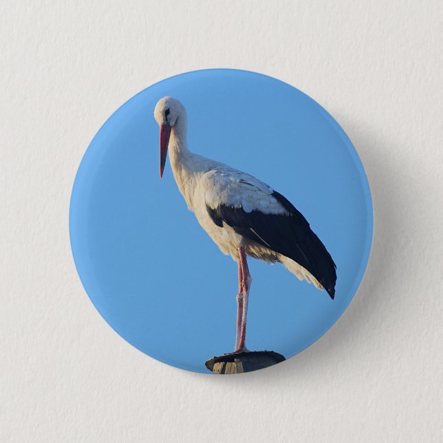 Stork on pole 2 inch round button (Front)