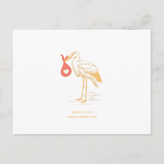 Stork Pregnancy Announcement Postcard (Front)