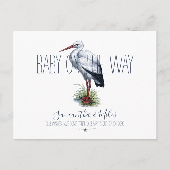 Stork Pregnancy Announcement Postcard (Front)