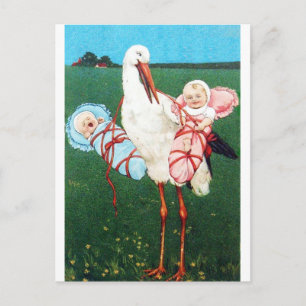 STORK TWIN BABY SHOWER, Pink ,Teal Blue Invitation Postcard