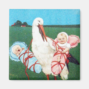STORK TWIN BABY SHOWER, Pink ,Teal Blue Magnet