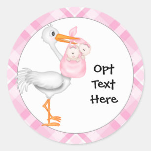 Stork & Twin Girls Stickers