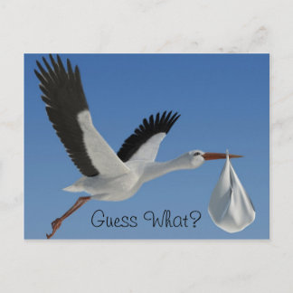 Stork with Baby Bundle Postcard