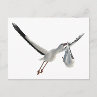 Stork with Bundle on White Postcard