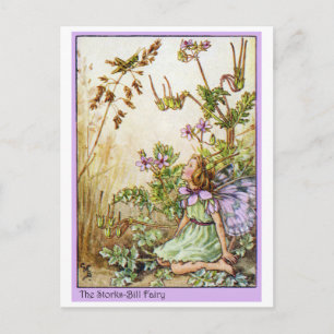 Storks Bill Fairy Postcard
