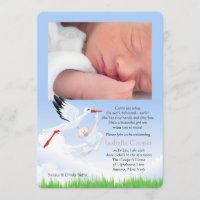 Stork's Early Delivery Photo Post Baby Shower Girl