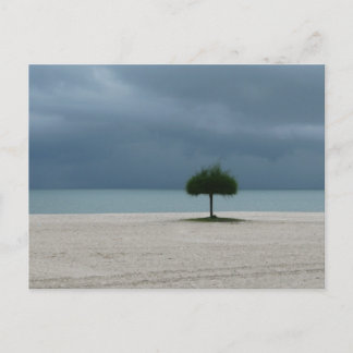 Storm Brewing Postcard