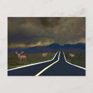 Storm Brewing Postcard