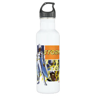 Storm Character Panel Graphic 710 Ml Water Bottle